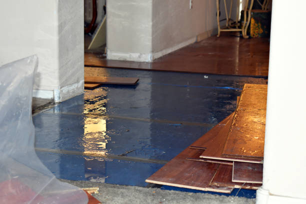 Professional Sewage Cleanup technician working in Portland, MI